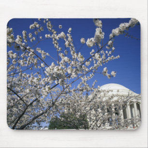 アメリカ、ワシントンD.C. 桜祭りと2 マウスパッド