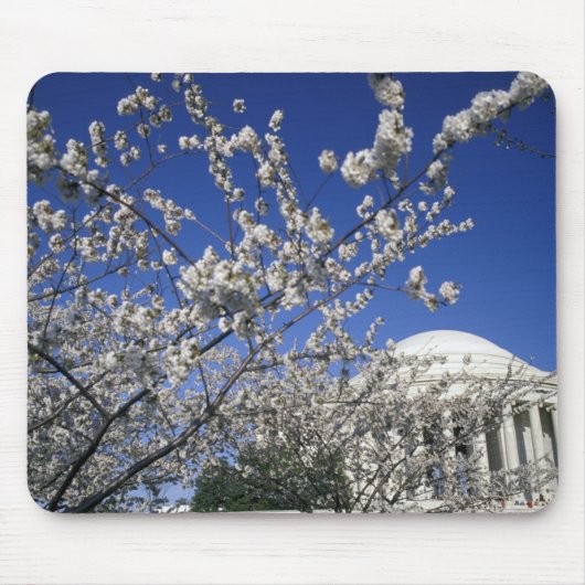 アメリカ、ワシントンD.C. 桜祭りと2 マウスパッド (正面)