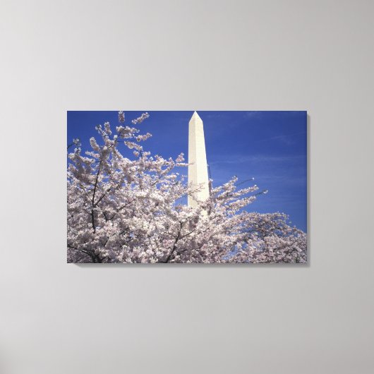 アメリカ、ワシントンD.C. 桜祭りと キャンバスプリント (正面)