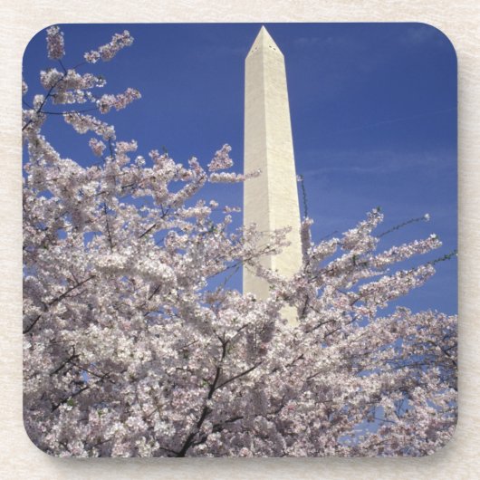 アメリカ ワシントンD.C. 桜祭りと コースター (正面)