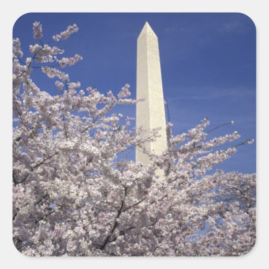 アメリカ、ワシントンD.C. 桜祭りと スクエアシール (正面)