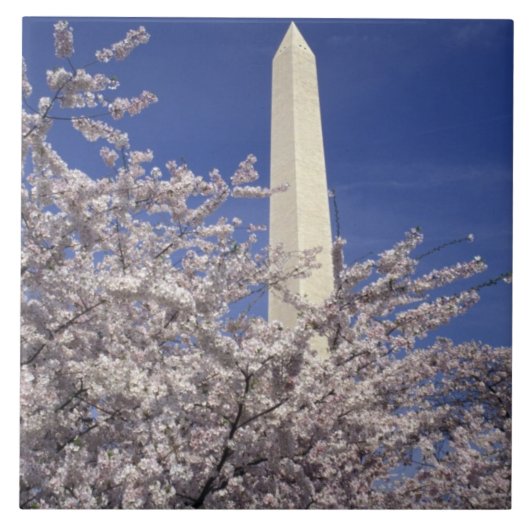 アメリカ、ワシントンD.C. 桜祭りと タイル (正面)