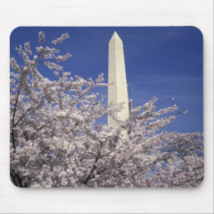 アメリカ、ワシントンD.C. 桜祭りと マウスパッド