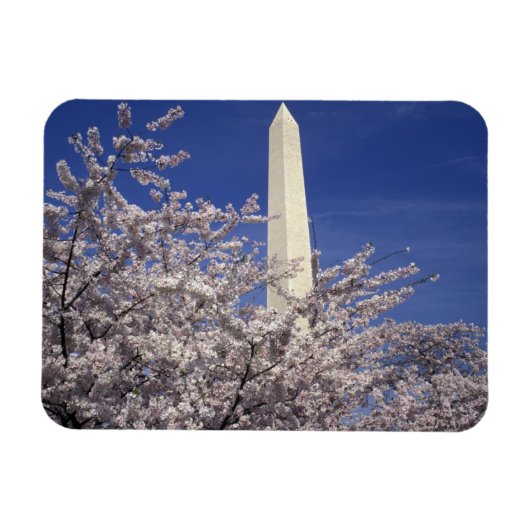 アメリカ、ワシントンD.C. 桜祭りと マグネット (横)