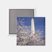 アメリカ、ワシントンD.C. 桜祭りと マグネット (正面/裏面)