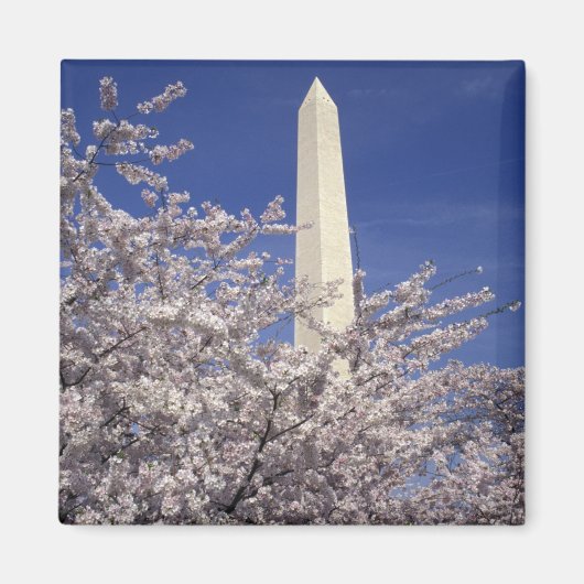 アメリカ、ワシントンD.C. 桜祭りと マグネット (正面)