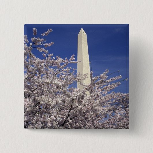 アメリカ、ワシントンD.C. 桜祭りと 缶バッジ (正面)