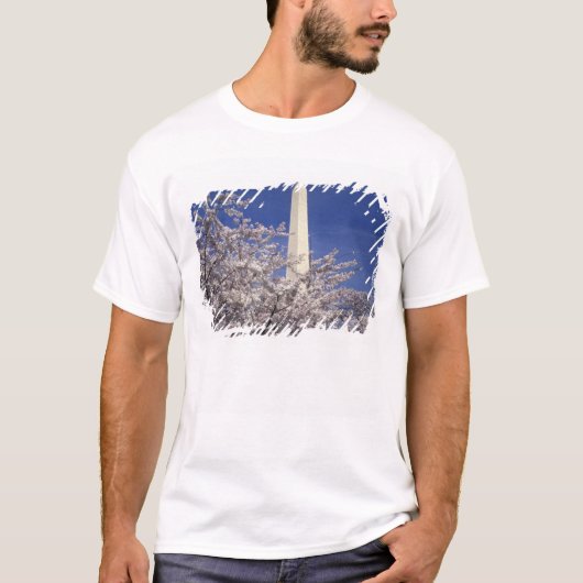 アメリカ ワシントンD.C. 桜祭りと Tシャツ (正面)