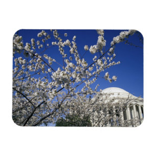 アメリカ、ワシントンDC。桜祭りと2 マグネット