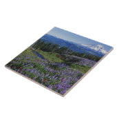 アメリカ、ワシントンM. Adams Wildrens、メドウズ タイル (側面)