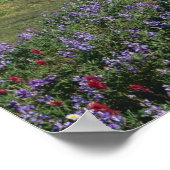 アメリカ、ワシントンMt. Adams Wilderness、メドウズ ポスター (角)