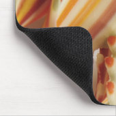 アメリカ。乾燥した虹のパスタ麺のクローズアップ。 マウスパッド (コーナー)