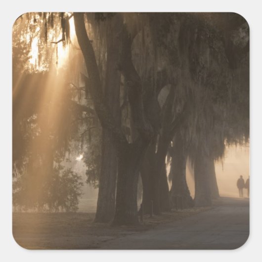 アメリカ、北米、ジョージア、サバンナ。ボーイズ スクエアシール (正面)