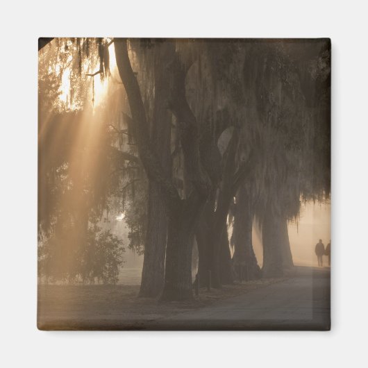 アメリカ、北米、ジョージア、サバンナ。ボーイズ マグネット (正面)