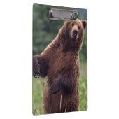 アメリカ、南東アラスカ、ブラウンベアとカブ クリップボード (右)