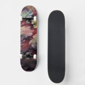 アメリカ、太平洋岸北西部。イロハモミジの葉 スケートボード (正面)