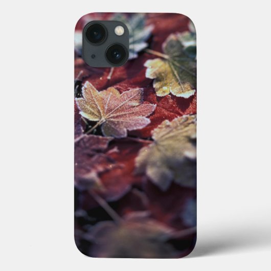 アメリカ、太平洋岸北西部。イロハモミジの葉 Case-Mate iPhoneケース (裏面)