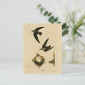 アメリカ（煙突）スウィフトオードゥボン ポストカード (スタンド正面)