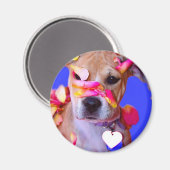 アメリカ(犬)スタッフォードテリアボクサーミックスパピードッグ マグネット (正面/裏面)