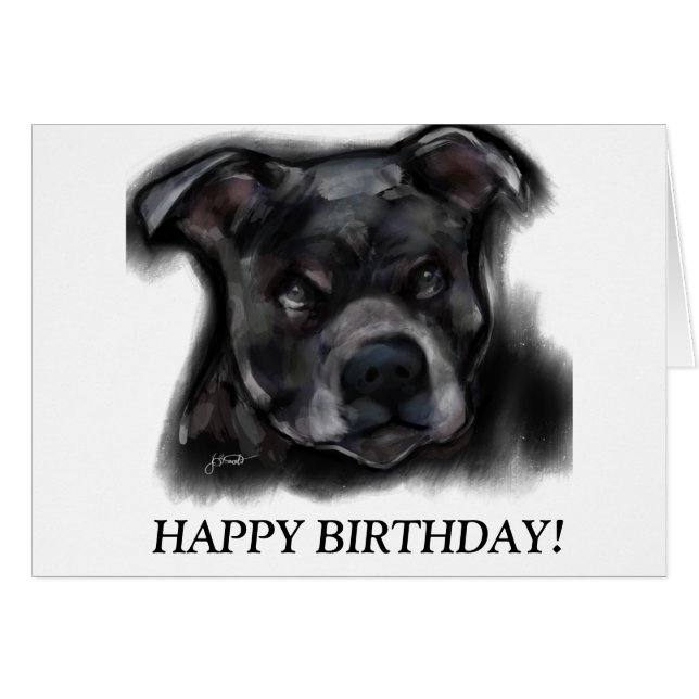 アメリカ（犬）スタッフォードテリア (正面横)