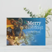 アメリカ(犬)スタッフォードテリア シーズンカード (スタンド正面)