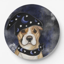 アメリカ（犬）スタッフォードテリア