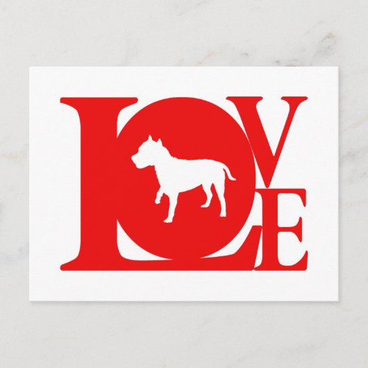 アメリカ（犬）スタッフォードテリア ポストカード (正面)