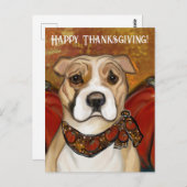 アメリカ(犬)スタッフォードテリア ポストカード (正面/裏面)