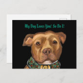 アメリカ(犬)スタッフォードテリア ポストカード (正面/裏面)