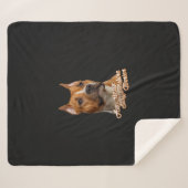 アメリカ（犬）スタッフォードテリア- Amstaff シェルパブランケット (正面(横))