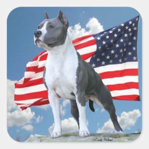 アメリカ(犬)スタッフォードテリア(Pit Bull)のステッカー スクエアシール
