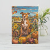 アメリカ（犬）スタッフォード秋の収穫感謝祭 シーズンカード (スタンド正面)