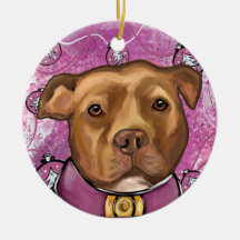 アメリカ(犬)スタッフォード