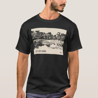 アメリカ Tシャツ