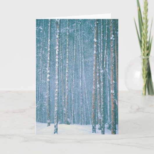 アメリカ、WY。〜の間の雪の降る冬の風景 シーズンカード (正面)