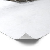 アメリカ、WY、イエローストーンNP、アメリカのバイソン(Bison) ポスター (角)