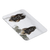 アメリカ、WY、イエローストーンNP、アメリカのバイソン(Bison) マグネット (右側)