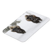 アメリカ、WY、イエローストーンNP、アメリカのバイソン(Bison) マグネット (左側)