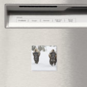 アメリカ、WY、イエローストーンNP、アメリカのバイソン(Bison) マグネット (インサイチュ (食洗機))