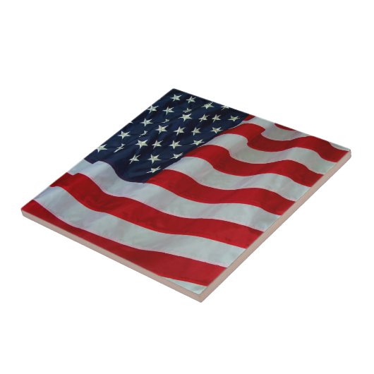 アメリカFLAG-TILE タイル (側面)