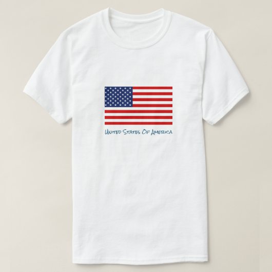 アメリカTシャツ Tシャツ (デザイン正面)