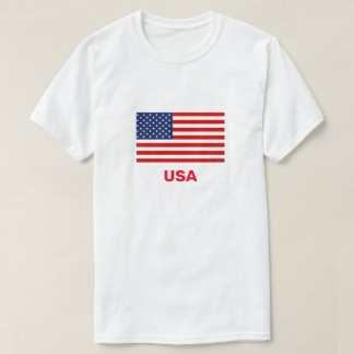 アメリカTシャツ Tシャツ