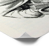 アメリゴ・ヴェスプッチポートレート ポスター (角)