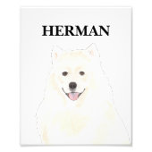 アメリパーソナライズされたカのエスキモサモエド犬 フォトプリント (正面)
