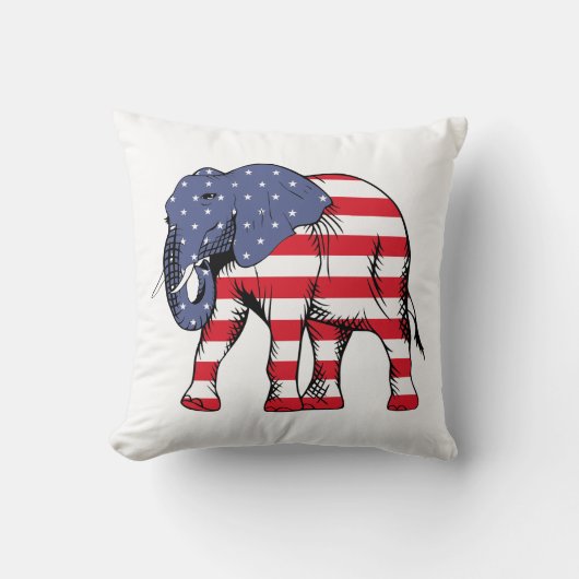 アメリモダンカ国旗 クッション (正面)