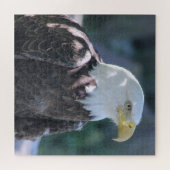 アメリ威厳のあるカのハゲのカラー写真 ジグソーパズル (横)