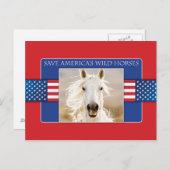アメリ救アの野生の馬のポストカード ポストカード (正面/裏面)