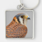 アメリ素晴らしンケストレルスパルロワーク《鳥》ハヤブサ キーホルダー (正面)
