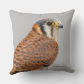 アメリ素晴らしンケストレルスパルロワーク《鳥》ハヤブサ クッション (裏面)