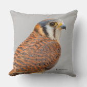アメリ素晴らしンケストレルスパルロワーク《鳥》ハヤブサ クッション (正面)